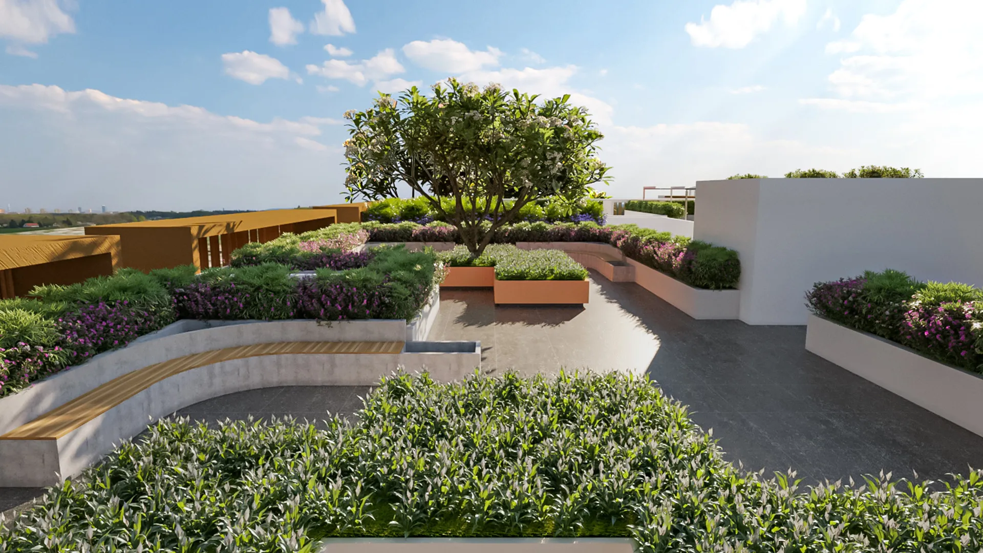 Rooftop garden panoramic view